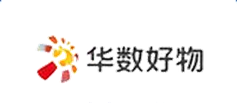 华数 logo