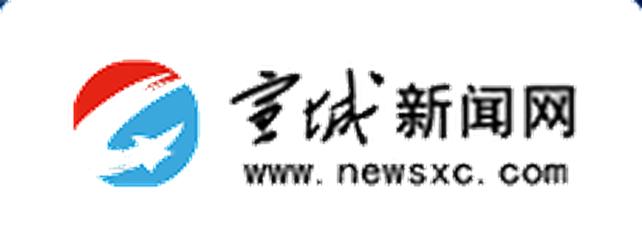 宣城新闻传媒中心 logo